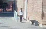 Pánico en Mendoza: una adolescente de 14 años llevó un arma al colegio, disparó y se atrincheró