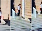 De ¿Tiraste un chasquibum? a un tiro entre las patas al padre: el dramático momento en que una alumna empezó a disparar en una escuela de Mendoza