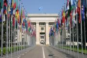 Venezolanos rescatados del Cecot exigen a la ONU condenar trato inhumano recibido