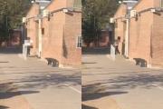 “Le hacían bullying por un video”: la hipótesis del ataque de la alumna que se atrincheró con un arma en su escuela