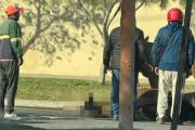 Las Termas: un caballo colapsó en plena calle por exceso de carga