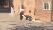 El pedido de la adolescente de 14 años que disparó en una escuela de Mendoza: “Busco a la seño Raquel”