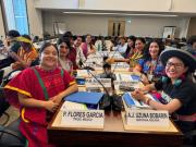 Machismo Indígena y machismo colonial: Una desertora de las becas de la ONU