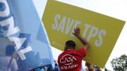 Venezolanos con TPS en Miami-Dade: aquí la fecha límite para mantener sus beneficios