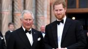 ¿Paz en la realeza? Todo sobre el reencuentro entre el rey Carlos III y Harry tras meses de disputa