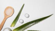 Despídete del estreñimiento: así puedes preparar un efectivo remedio casero a base de aloe vera