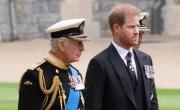 Impacto en la realeza por el reencuentro del rey Carlos y el príncipe Harry: Gracias