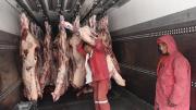 Bolivia cuenta con 100.000 toneladas de carne de res listas para exportar a Egipto