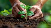 Ecofuturo recibe desembolso del BDP para financiar Proyectos Sostenibles