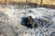 Identifican a sospechoso de la muerte de hombre carbonizado