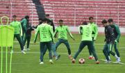 Bolivia planea seis amistosos antes de jugar el repechaje