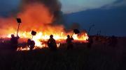 Incendios afectan 2 áreas protegidas en Santa Cruz