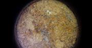 Posibles rastros de vida en Marte: Perseverance detecta biofirmas antiguas