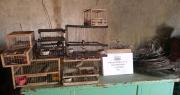 Robo en la Finca Montilla: allanan y secuestran materiales robados y aves en cautiverio