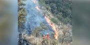 Bolivia mantiene alerta roja por riesgo de propagación de incendios en 24 municipios