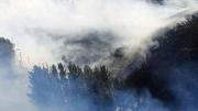 Sofocan incendio forestal en Colomi y salvan 30 hectáreas de bosques nativos