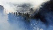Sofocan incendio forestal en Colomi y salvan 30 hectáreas de bosques nativos