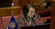Diputada chilena desata polémica al vincular a bolivianos con “falta de oxígeno cerebral”