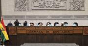 Legislativo boliviano repudia palabras “racistas” de parlamentaria chilena y exige una disculpa