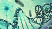 Nanorobots de ADN, la revolución que podría transformar la medicina del futuro
