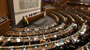 Diputados critican declaraciones de legisladora chilena