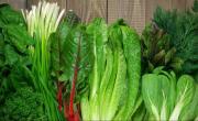 Chau a la lechuga: 4 hojas verdes que son superiores y aportan más nutrientes