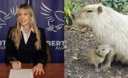 Insólita propuesta de una candidata de La Libertad Avanza contra los carpinchos: Piensen