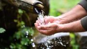 Paso a paso: así podes reciclar el agua en tu casa y no gastar de más