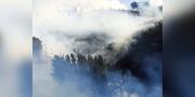 Sofocan incendio forestal en Colomi y salvan 30 hectáreas de bosques nativos