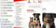 Sucre suma 37 casos de rabia canina y llaman a vacunar a las mascotas