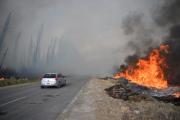 Incendio de pastizales a la vera de la Ruta 65, cerca de Cervantes: bomberos trabajaron para controlarlo