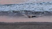 El cuerpo de una mujer fue encontrado en una playa de Mar del Plata