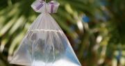 El truco infalible para ahuyentar insectos de tu jardín
