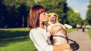 Parques para perros en Miami: conoce las normas que debes seguir para que no te expulsen