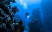 ¿Cuál es la profundidad máxima a la que llegó el ser humano en el océano?