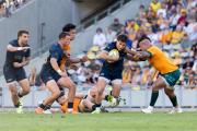 Rugby Championship: Los Pumas buscan revancha ante los Wallabies en Sídney