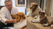 Alberto Fernández presentó su nueva mascota en las redes sociales: “Ahora hablan de otros ‘perros consejeros’”