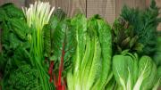 Beneficio de comer verduras de hojas verdes