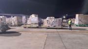 Un error en el sistema y el boom de importaciones generaron un colapso en Ezeiza