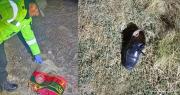 La Paz: Hallan muertos al subgobernador de Omasuyos y a una autoridad originaria; presumen atropello