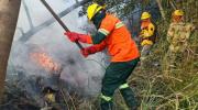 En Beni y Santa Cruz hay ocho incendios forestales; bomberos trabajan para sofocarlos