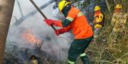 En Beni y Santa Cruz se tiene ocho incendios forestales, bomberos trabajan en su sofocación