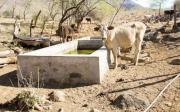 Sequía e incendios amenazan las fuentes de agua en Tarija