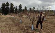 Sedag apoya la creación de parcelas agrícolas