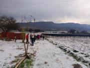 Granizada en Tarija causa estragos, UGR cuantifica daños