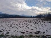 Granizo arrasó cultivos agrícolas en comunidades de Tarija