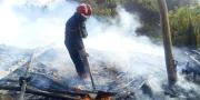 Santa Cruz y Beni registran ocho incendios forestales
