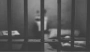 Unos 60.000 presos en Cuba son sometidos a trabajos forzados, según Prisoners Defenders