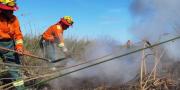 Defensa Civil reporta 390 focos de calor y persisten los incendios activos en tres municipios de Santa Cruz