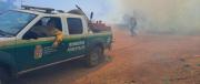 Reportan cinco incendios forestales en Bolivia